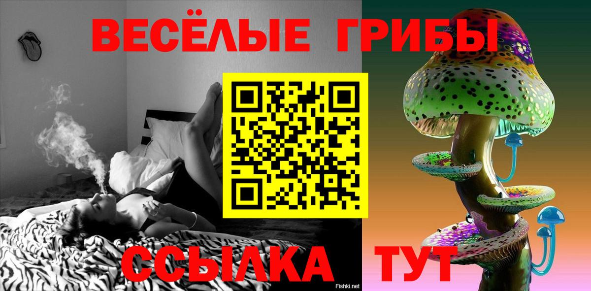 Ярославль  Галлюциногенные грибы Psilocybine cubensis  Псилоцибиновые грибы мицелий  Вход с VPN 